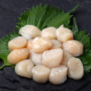 貝類