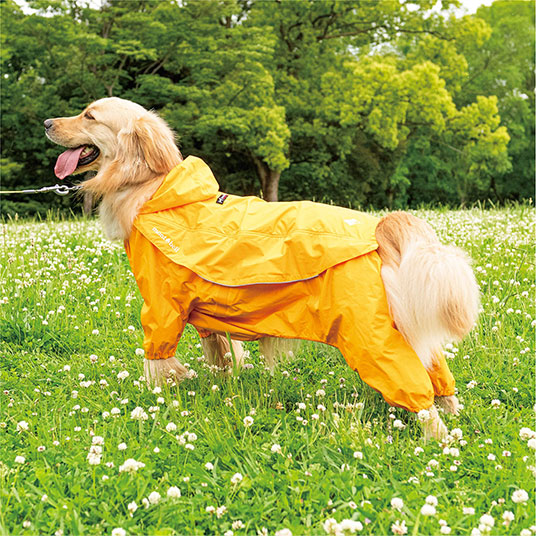 写真はLargeサイズです