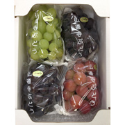 ぶどうのおまかせ詰め合わせ 2kg（他商品との同時購入不可）【出荷時期：8月下旬より順次】