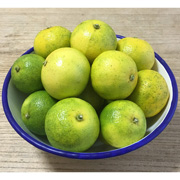 柚香（ゆこう）約2.5kg【出荷時期：10月下旬より / 販売期間：11月末頃まで】