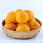 【訳あり】甘夏家庭用8kg（他品番との同時購入不可）【出荷時期：4月上旬頃より順次出荷】