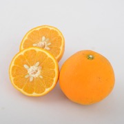 【訳あり】伊予柑8kg（他商品との同時購入不可）【出荷時期：1月中旬頃より順次出荷 / 販売時期：3月上旬頃まで】