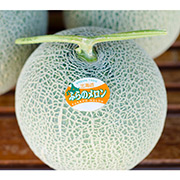 富良野メロン2玉セット（他品番との同時購入不可）【出荷時期：7月下旬より順次出荷 / 販売時期：8月10日まで】
