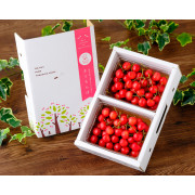 紅秀峰ばら詰め2L玉600g(300g×2パック)（他品番との同時購入不可)【出荷時期：6月中旬頃より順次】