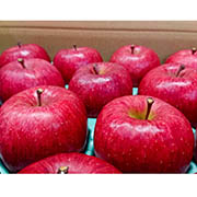 【家庭用】 サンふじ 2.5kg（他商品との同時購入不可）【販売期間1月中旬頃まで】