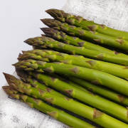 春どり特大アスパラ1kg【出荷時期：4月下旬より順次出荷 / 販売期間：5月下旬頃まで】