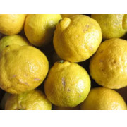 【訳あり】 はるか　3kg（他商品との同時購入不可）【販売期間：4月上旬頃まで】