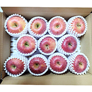 樹上完熟サンフジ　3kg(他商品との同時注文不可）【出荷時期：11月下旬より順次】