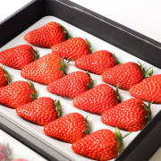 うずしおべりー【出荷時期：12月下旬より順次出荷 / 販売時期：3月末頃まで】
