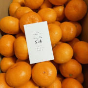 【訳あり】『3つの太陽』を浴びて育つ、温州みかん　南柑20号 小玉5kg（他商品との同時購入不可）【出荷時期：12月中旬より 】