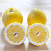 爽やかジューシー！河内晩柑（愛南ゴールド）家庭2kg（他商品との同時注文不可）【出荷時期：4月中旬より 順次】