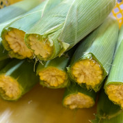 【訳あり】とうもろこし「おおもの」家庭用3kg（他品番との同時注文不可）【出荷時期：9月下旬より順次】