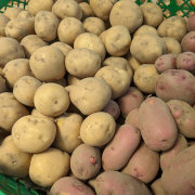 じゃが・たま・にんじん+季節の野菜２品セット（農薬化学肥料不使用）