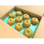 品種おまかせ　なまはげからの贈り物　梨5kg（他品番との同時注文不可）【出荷時期:9月中旬より順次】