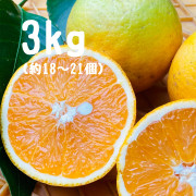 バレンシアオレンジ　家庭用3kg（他商品との同時購入不可）【出荷時期：6月下旬より / 販売時期：8月上旬頃まで】