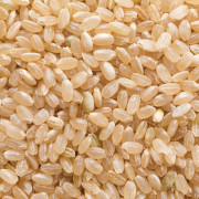 令和7年産 　須賀川の自然が育てたコシヒカリ玄米 5kg（1回の注文上限20kgまで）