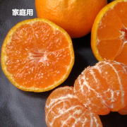 【家庭用】濃厚な味わい旬のちえみかん5kg（他品番との同時購入不可）【出荷時期：12月上旬より順次】