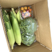 野菜詰め合わせ【出荷時期：7月下旬より / 販売時期：8月中旬まで】