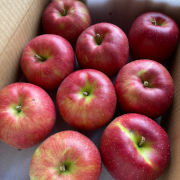 【訳あり】シナノスイート家庭用3kg【出荷時期：10月中旬より順次】