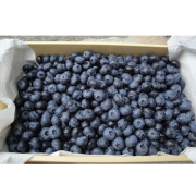 冷凍ブルーベリー2kg（500g×4パック）（他品番との同時注文不可）【出荷時期：8月上旬より】