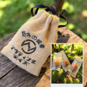 野外の猛者（うめぼし個包装）紀州南高梅白干し9粒入