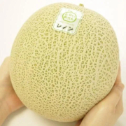 【特別栽培認証】特秀品 レノンメロン2玉(約3kg)（他品番との同時注文不可）【出荷時期：7月下旬より順次】
