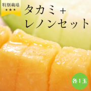 【特別栽培認証】特秀品 タカミ＋レノンＷセット2玉入 各1玉(約3kg)【出荷時期：7月下旬より / 販売時期：8月10日まで】