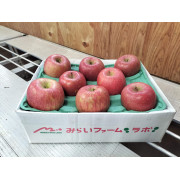 【家庭用】光センサー選果糖度13度以上　青森県産弘前ふじ3㎏（他商品との同時購入不可）【出荷時期：ご注文日より順次】