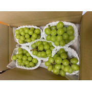 シャインマスカット家庭用約3ｋｇ（他品番との同時注文不可）【出荷時期：9月下旬より順次】