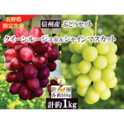 シャインマスカット＆クイーンルージュ® 1kg（他品番との同時注文不可）【出荷時期：9月下旬から順次】