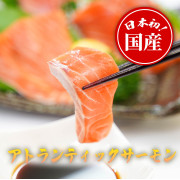 国産アトランティックサーモンブロック約500g（他品番との同時注文不可）
