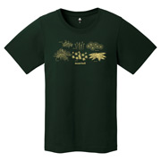 US ペアスキンコットン T Women's コケ