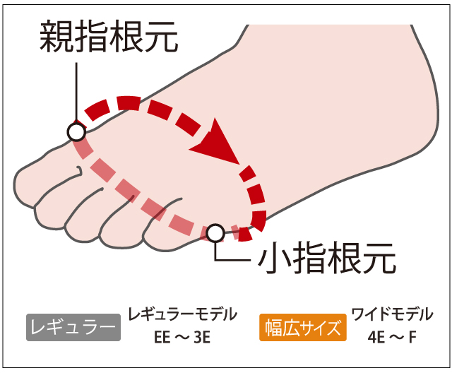ワイズとな何かを図で紹介しています。
親指の根元から小指の根元までの周囲の長さを示しています。
レギュラーサイズはEE～３E、ワイドモデルは４E～Fです。
